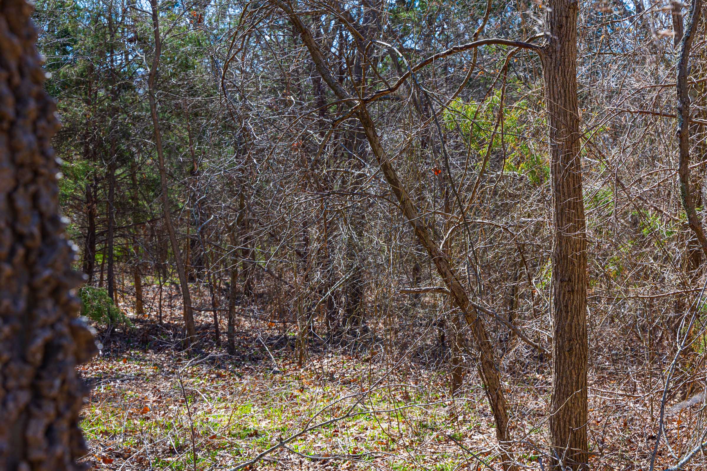 Tract 33 at Reserves At Cattail Cove Phase I in Pittsburg County, Oklahoma